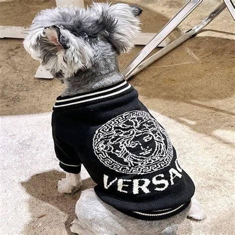 versace dog accessories